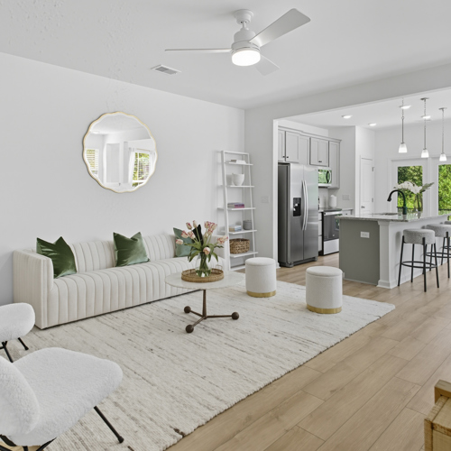 Living room and kitchen