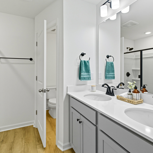 Bathroom with dual vanity and shower