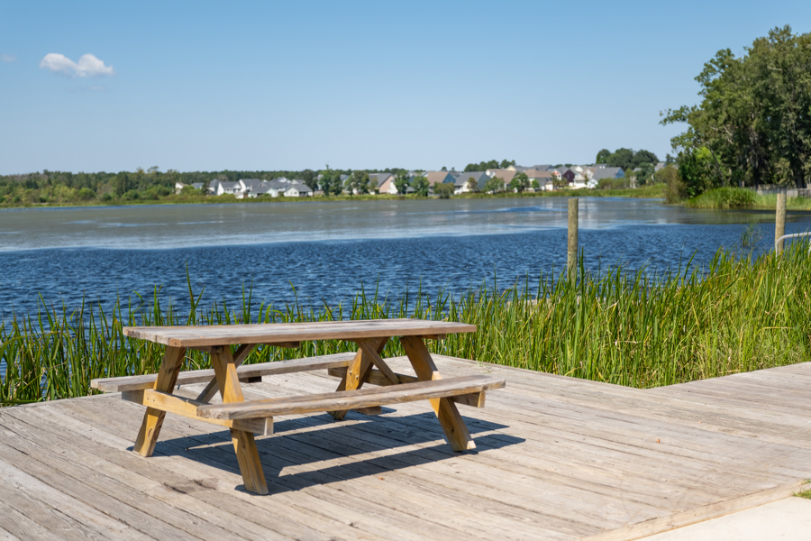 Lake Dock
